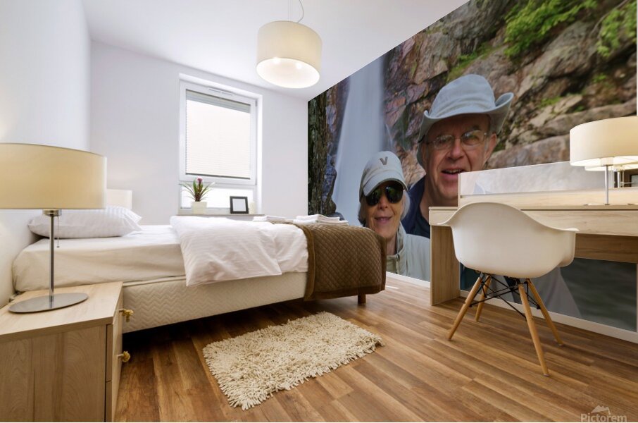  Glen Ellis  Mural print