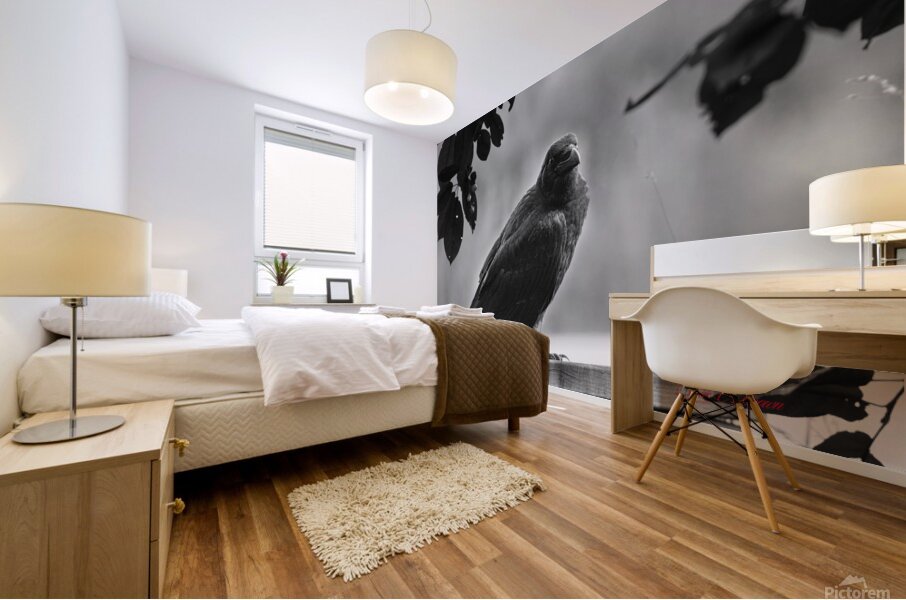 Raven in Black and White Mural print