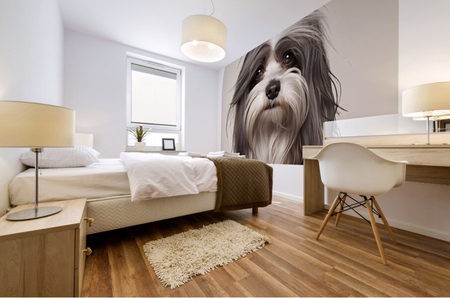 Havanese Informative Poster Mural print