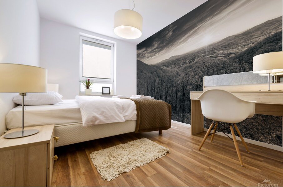 Oh Happy Day in the Mountains Mural print