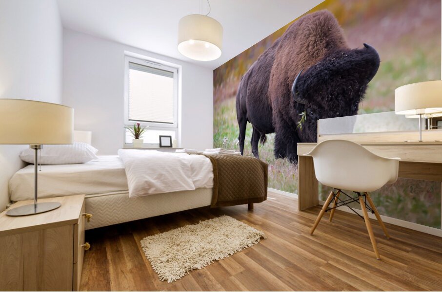 Bulls Eye - Manitoba Bison Mural print