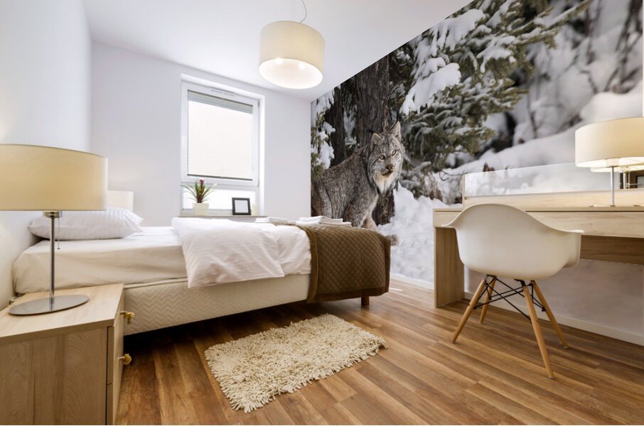 Its a Lynx Wunderland Mural print