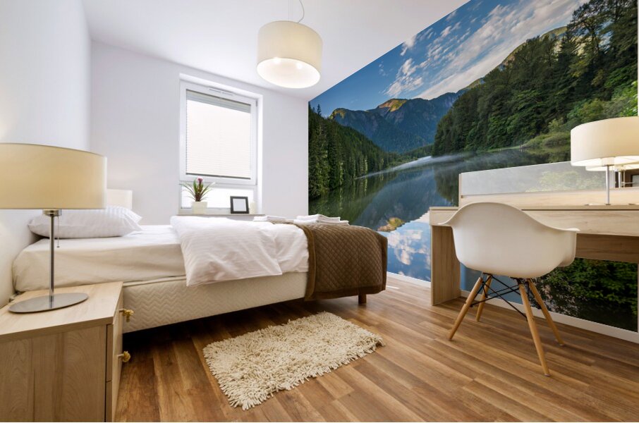 Kasiks River Mist Mural print