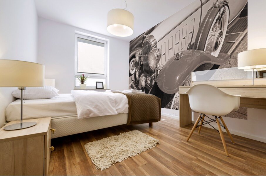 AUTO PORTRAIT 134 Mural print