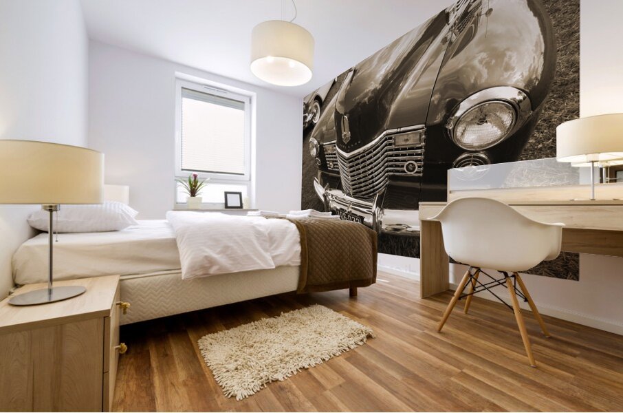 AUTO PORTRAIT 149 Mural print