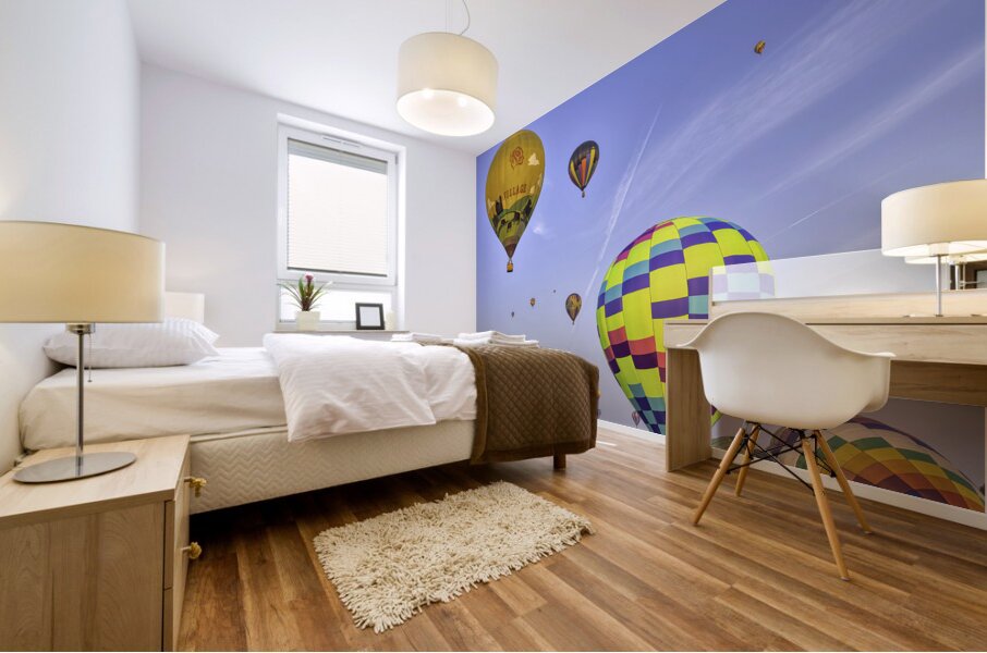 ACT 01355 Mural print