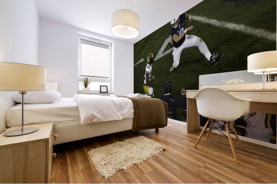 ACT 01380 Mural print