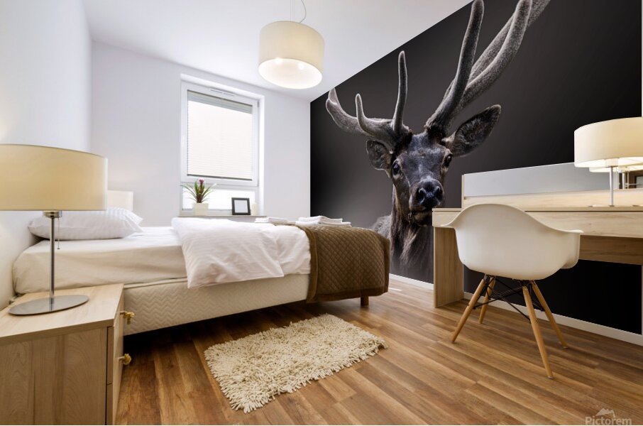 A New Crown Mural print