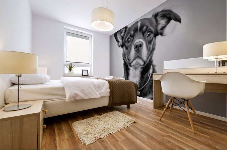 Perplexed Mural print