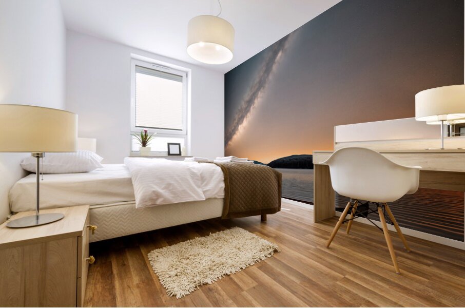 Nocturnal Paddle Mural print