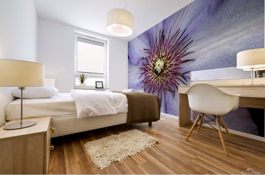 Clap Burst Mural print