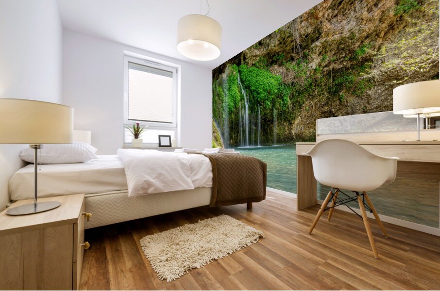 Soothing Waters At Dripping Springs Mural print