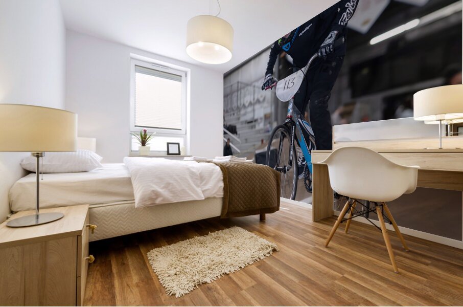 Image 95 Mural print