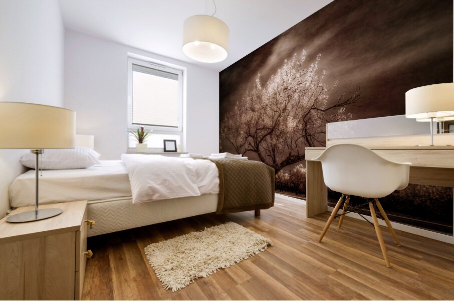  Twilight Tranquility: Capturing Natures Crown Light Splendor Mural print