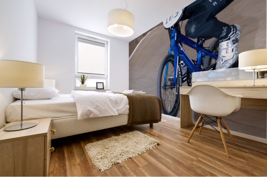 Image 107 Mural print