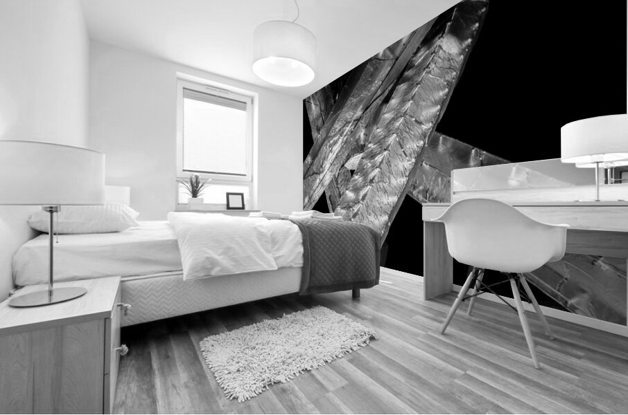 vancouver olympic cauldron at night  panoramic 26 Mural print