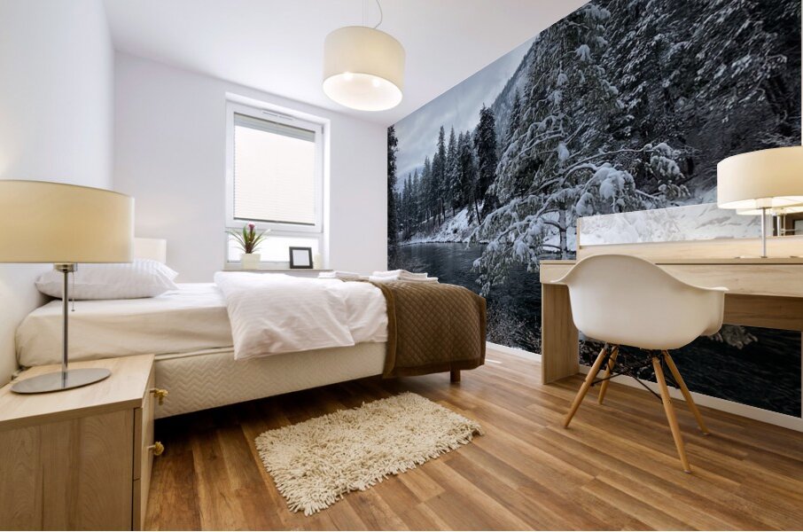 snowy creek  Mural print