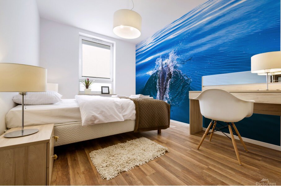 Dolphin following tour boat in Costa Rica Mural print