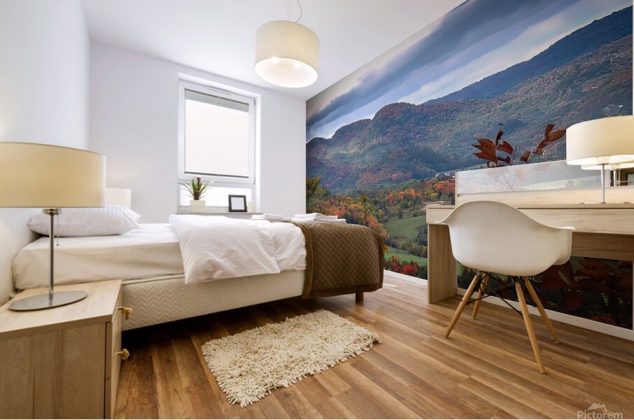 Laurentian View Mural print