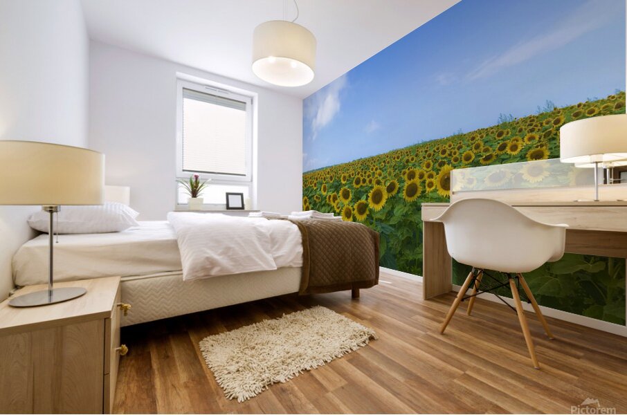 Sunflowers For Days Mural print
