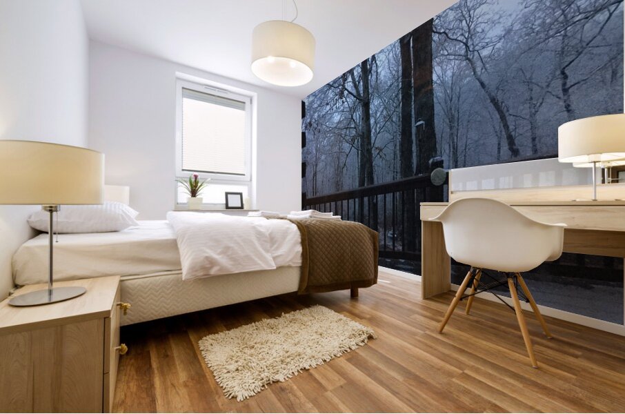 9ED766C3 ED1B 4B47 94A5 1756739BD025 Mural print