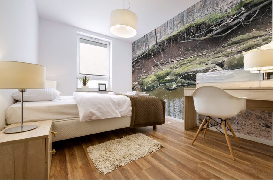 8D3B55C6 982D 4A05 A4E8 40277914F50C Mural print