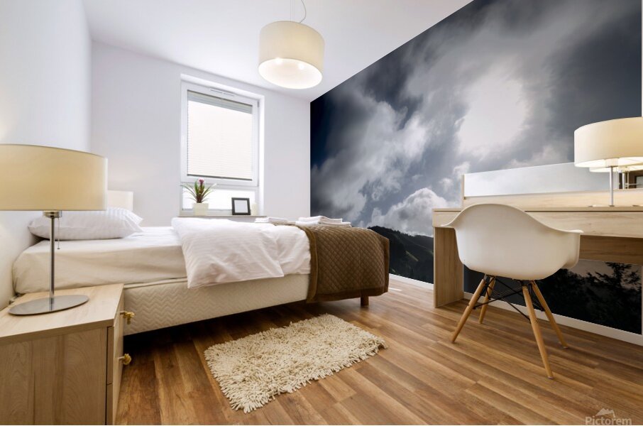 Ridgecrest Road 9259 Mural print