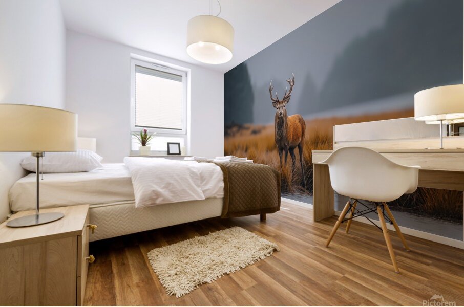 yakynuka Red deer are the iconic wildlife of the Mural print