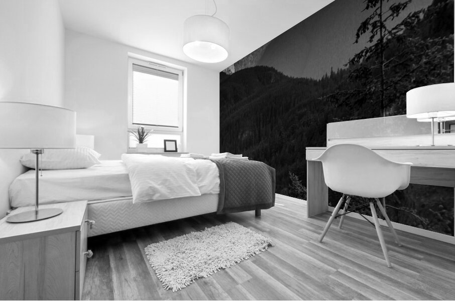 serratus mountain range squamish  vertical 2646 S Mural print