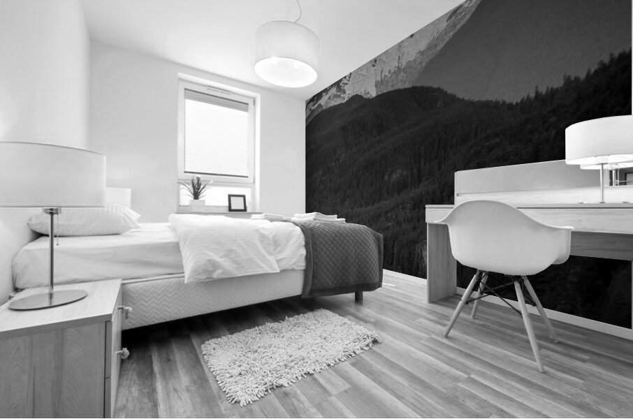 glacier covered mountain peaks squamish  vertical Mural print