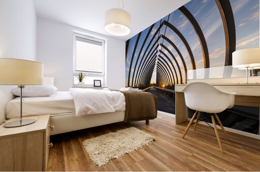 Sun Star Sunrise Throuh Farnam Pier Mural print