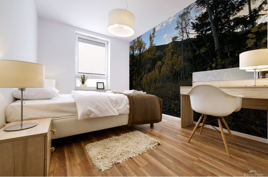 IMG 8279 Mural print