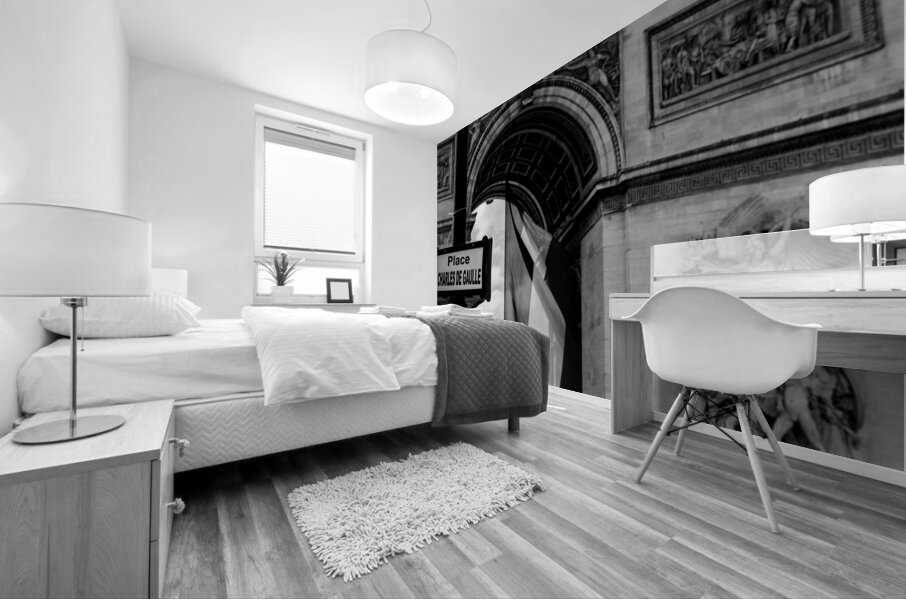 palace charles de gaulle sign  horizontal 2483 Ga Mural print