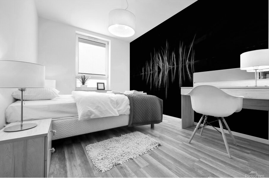 Reeds along the bank along a stream Mural print