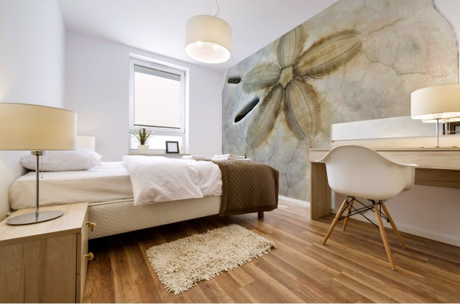 Sand Dollar Beachcombing in Georgia Mural print