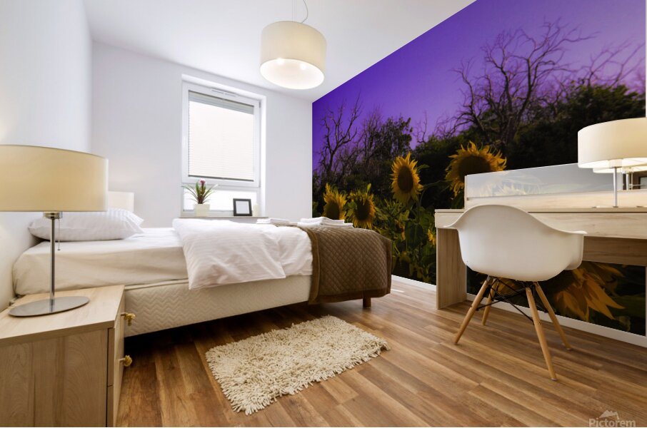 Sunflower Farm Hungary 2023 Mural print