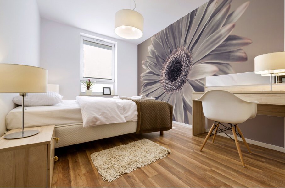 Gerbera Cream Mural print