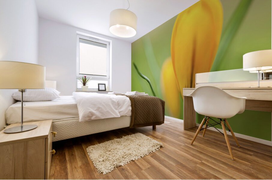 Yellow Crocus Mural print