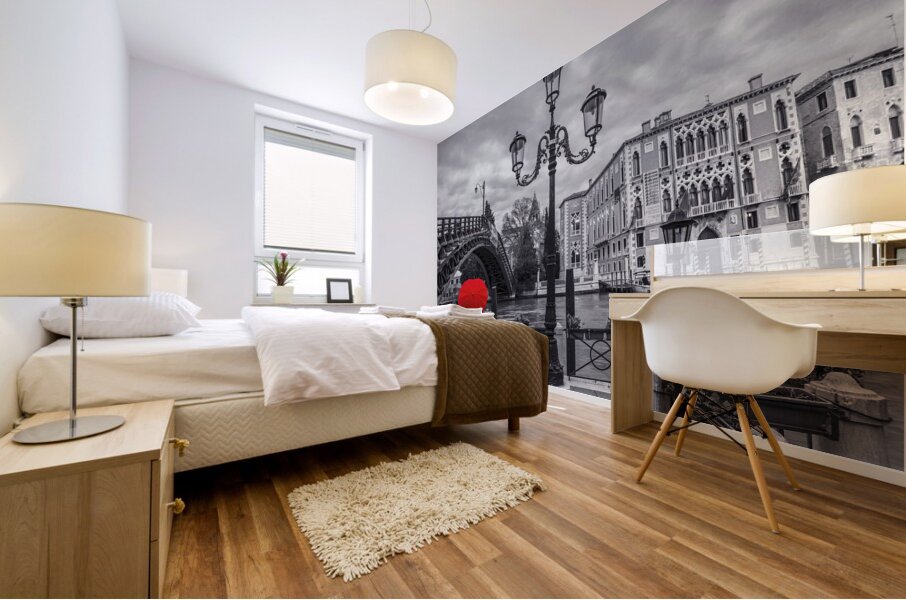 Accademia Bridge Venice Mural print