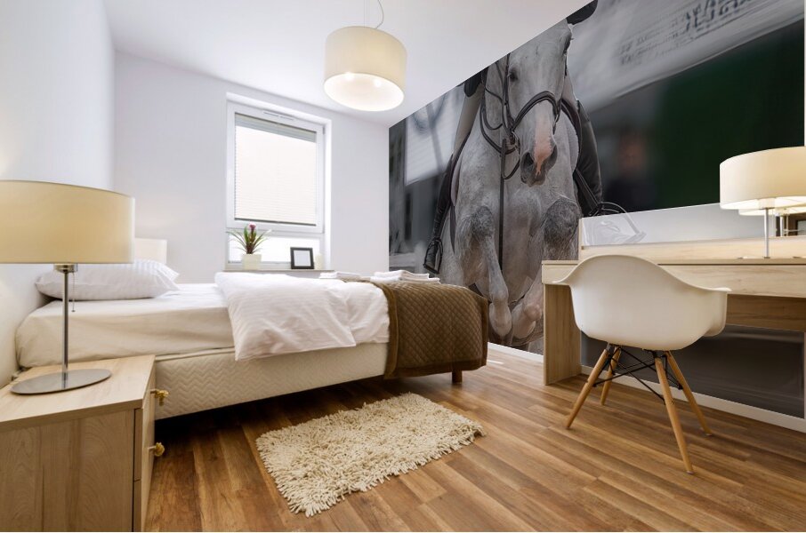 ACT *01678 Mural print