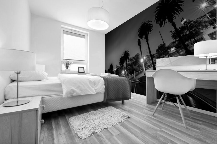 macarthur park at night  horizontal 2199 Urine 13 Mural print