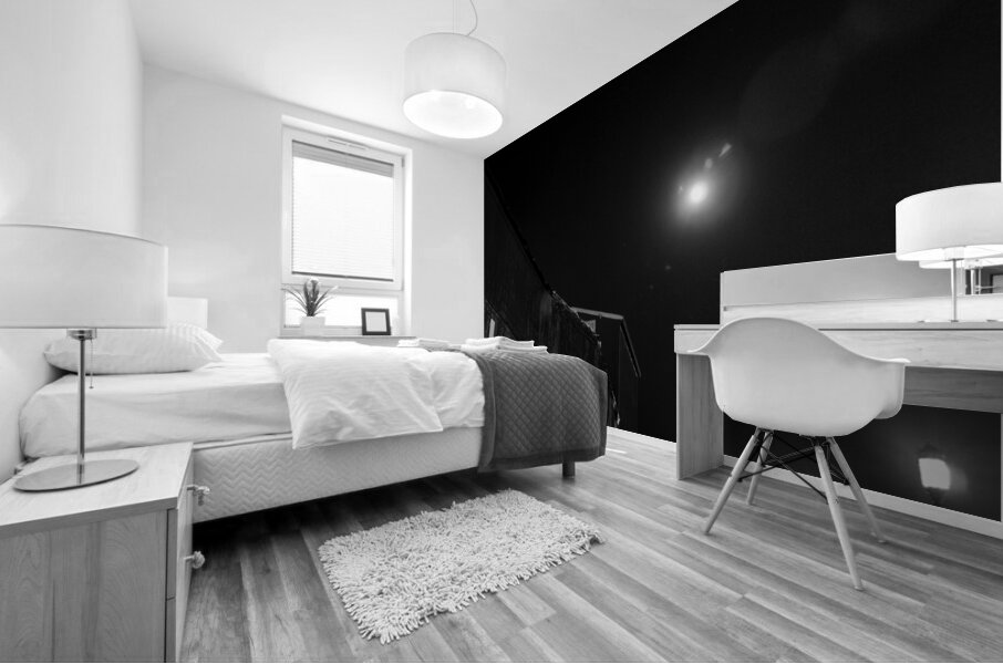 james hook lobster company building  vertical 34 Mural print