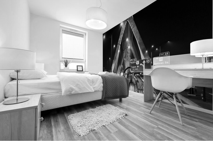 bunker hill bridge night traffic  horizontal 45 T Mural print