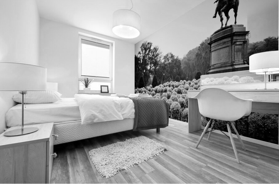 george washington statue public garden  square 13 Mural print