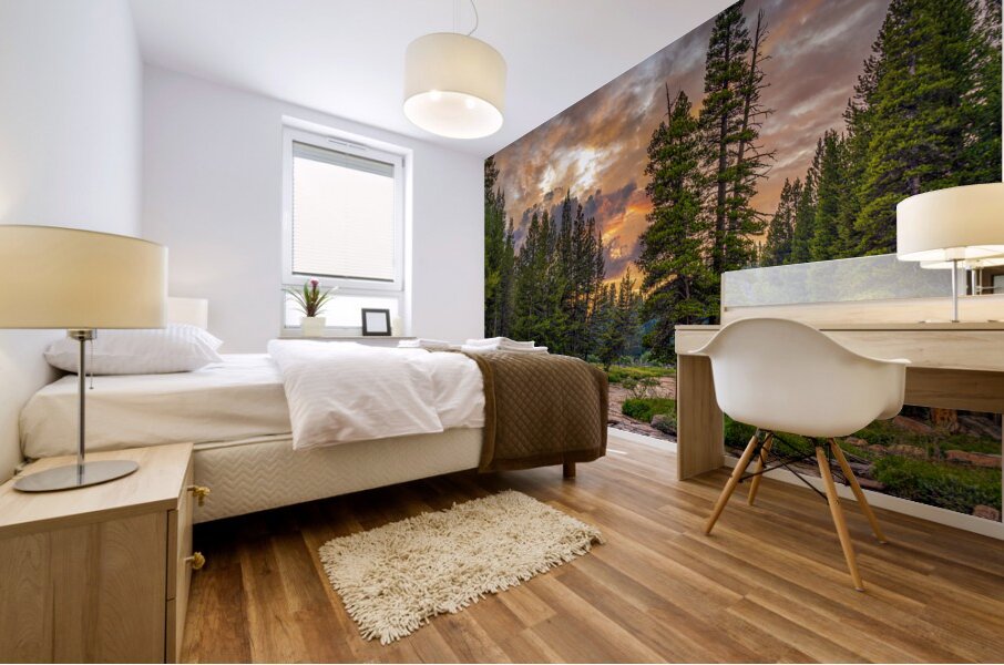 Tuolumne Meadows Sunset Mural print