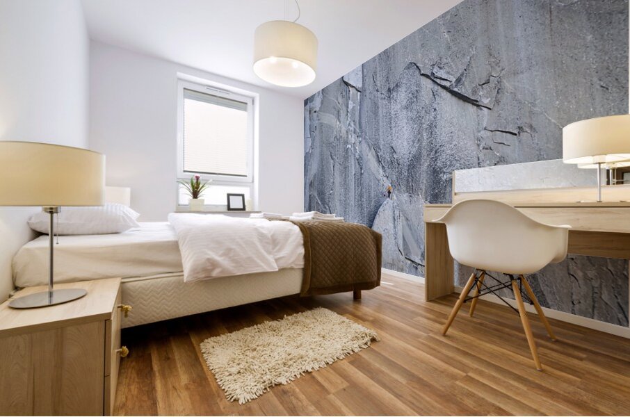 Boot Flake Mural print