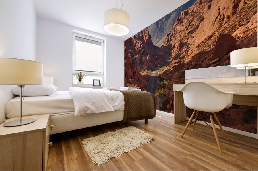 Mouse Tank Road at Valley of Fire State Park NV S 1708348695.6231 Mural print