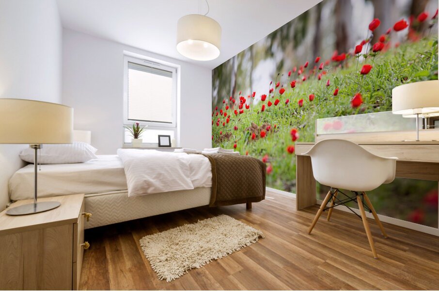 PIC12807 Mural print