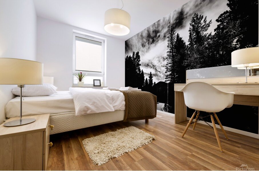 A Dark  Stormy Night Mural print