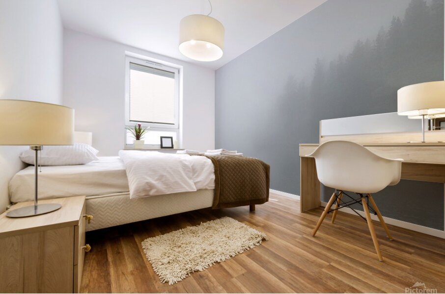 The Fog Claims the Lake Mural print